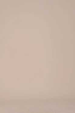 Fashion Carolina Casey Pants Black-Pre Order