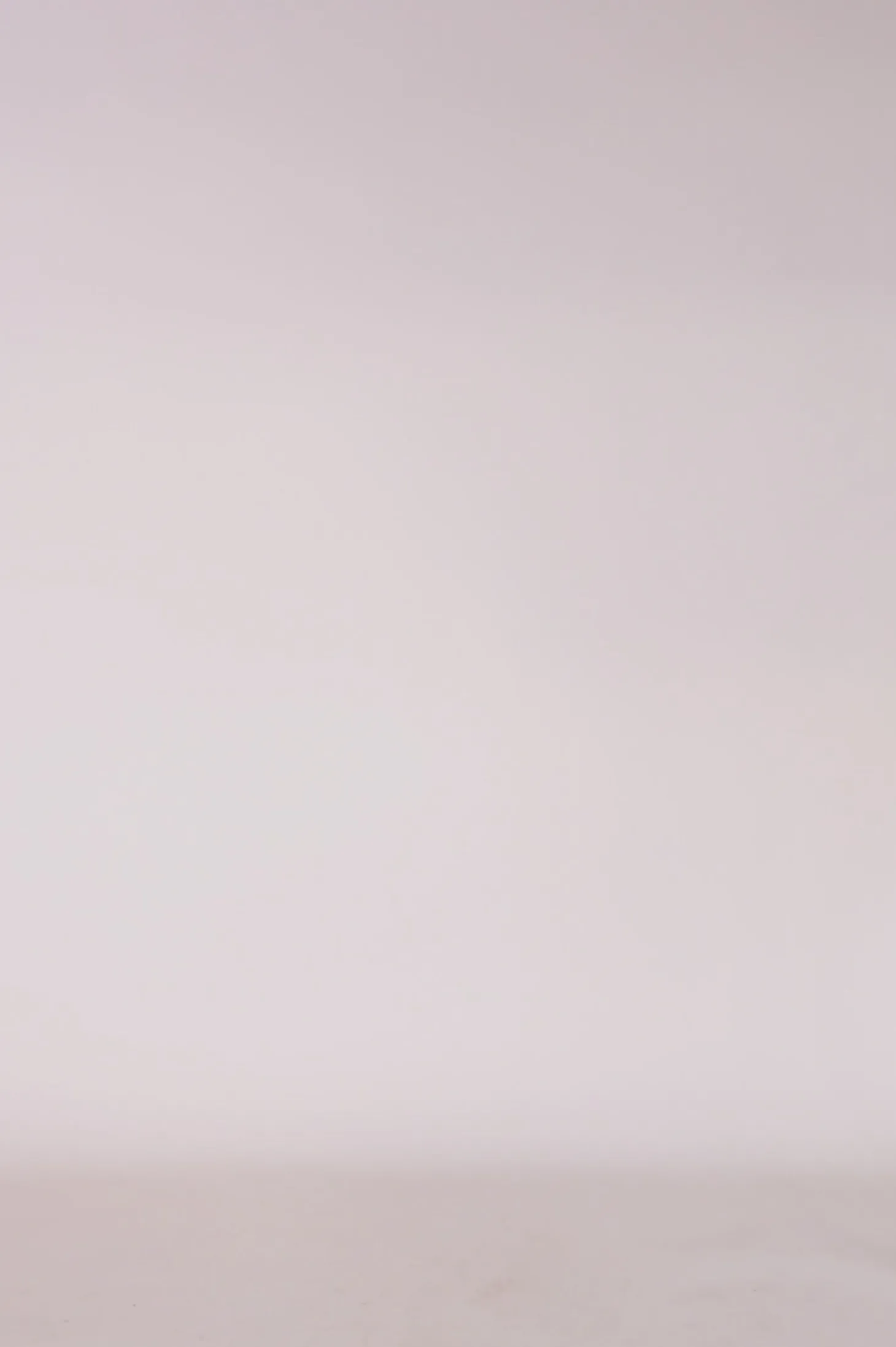 Store Carolina Emilia Off Shoulder Knit Ivory