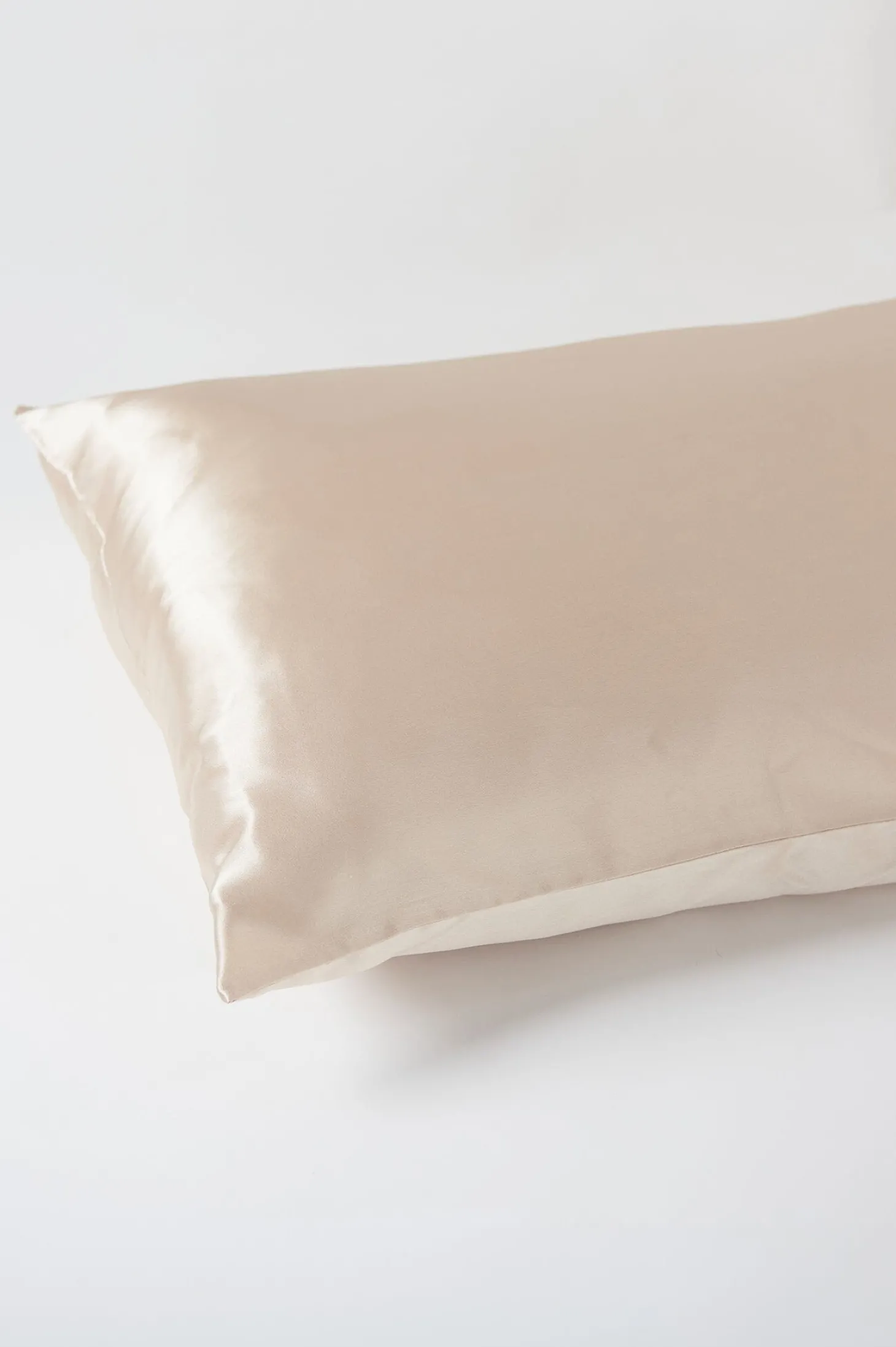 Shop Carolina Lyla Silk Pillow Case Taupe