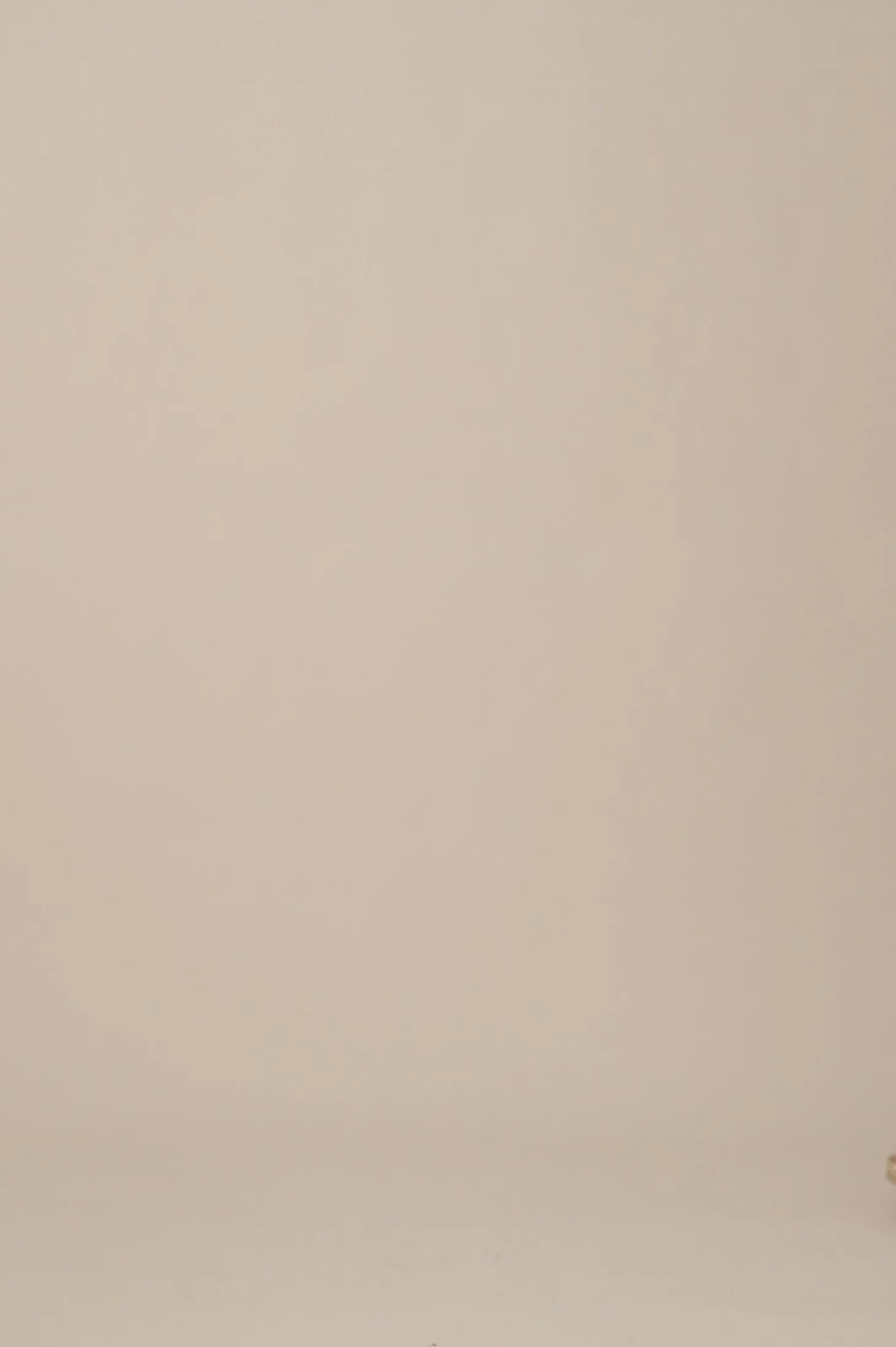 Clearance Carolina Piper Jacket Cream