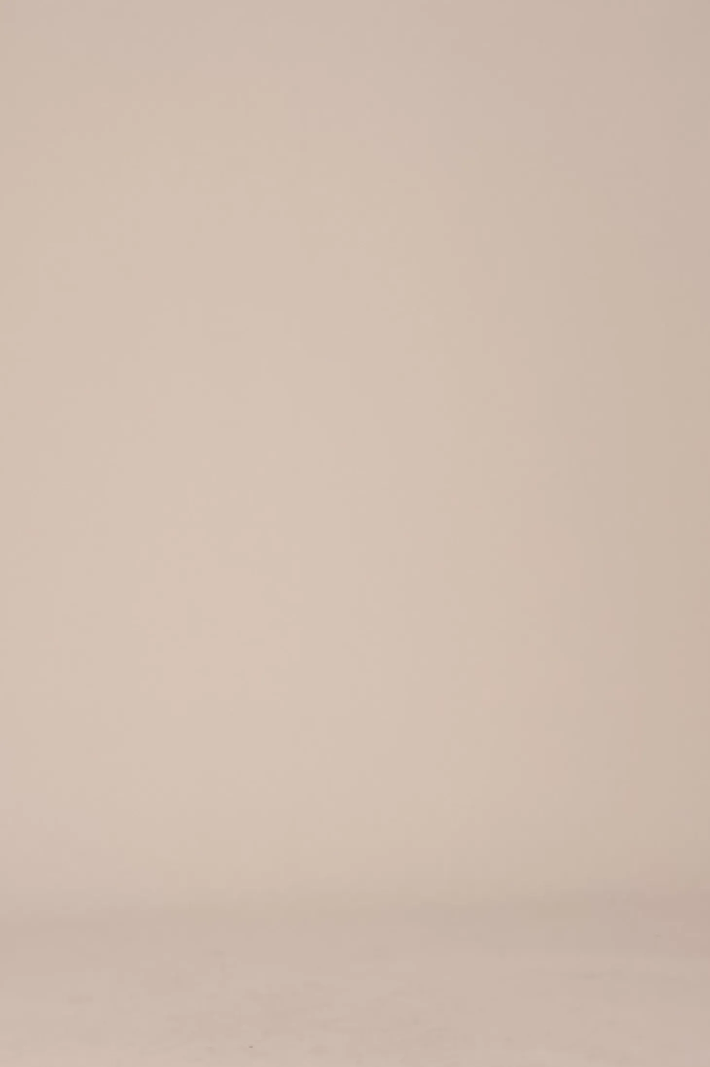 Fashion Carolina Roslyn Dress Champagne