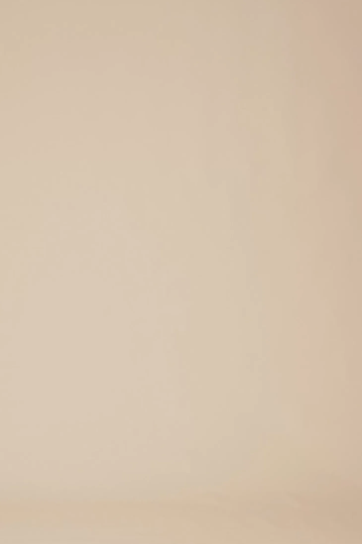 Flash Sale Carolina Sloane Wide Leg Pants Champagne-Pre Order