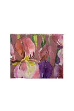 Discount Carolina Tulip Modal Scarf Rose