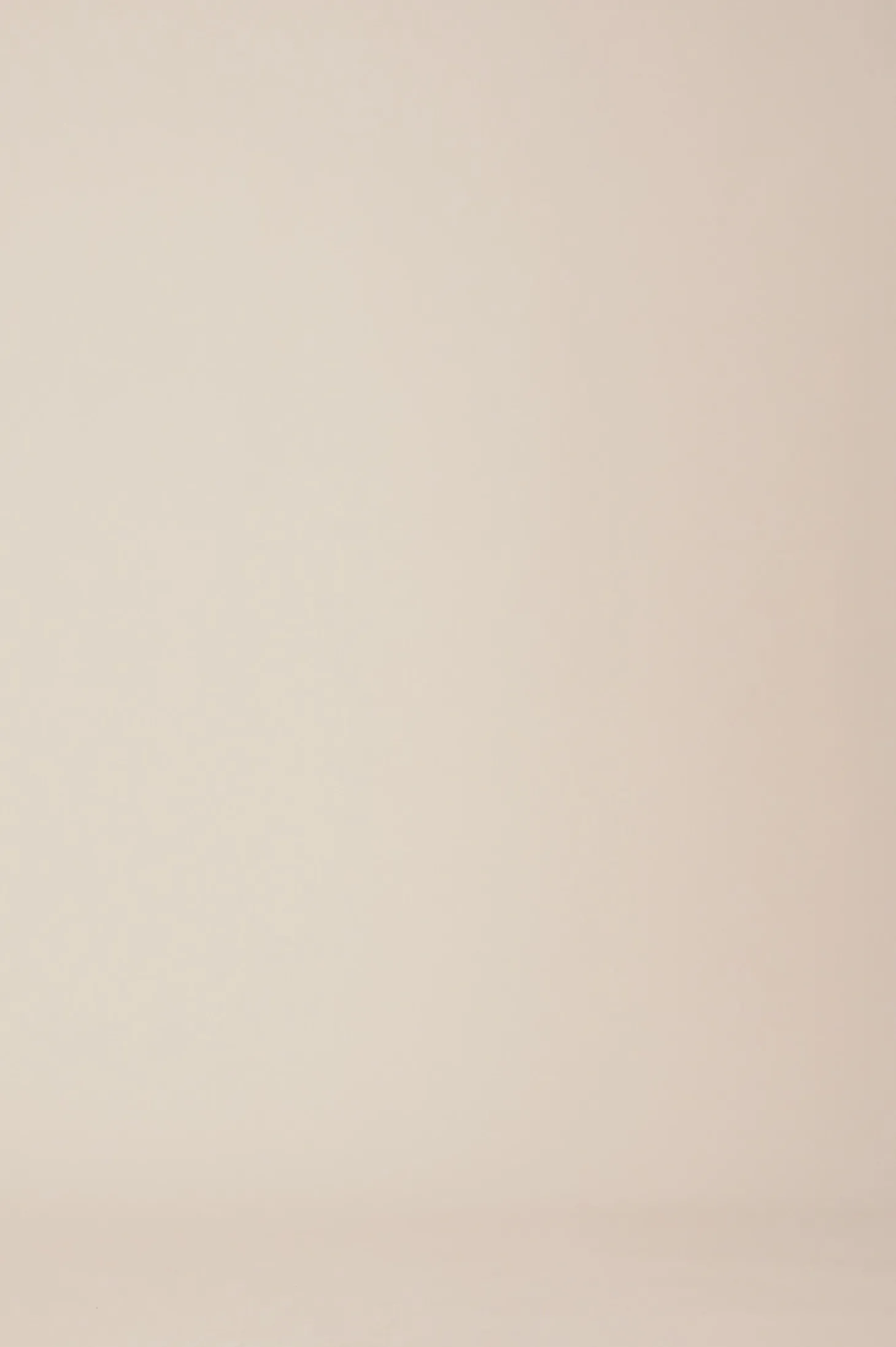 Best Sale Carolina Willow Skirt Navy